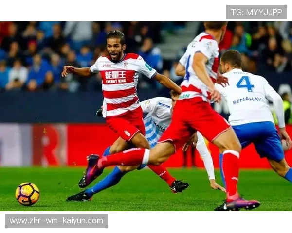 埃尔切的战绩证明:足球不是豪门的专利 埃尔切的战绩证明:足球不是豪门的专利