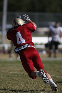 kaiyun中国官方网站-CBA赛季转会期开放多支球队进行大规模阵容调整，cba转会动态2021